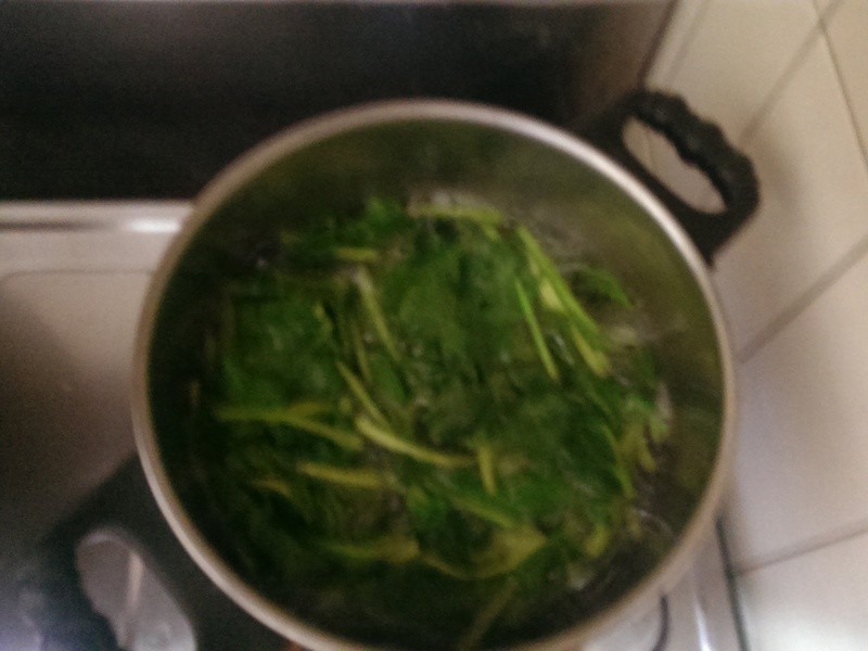 ���۱���5M��ʳƷ~�����������