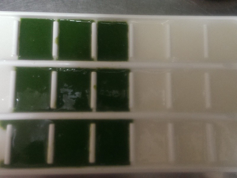 ���۱���5M��ʳƷ~�����������