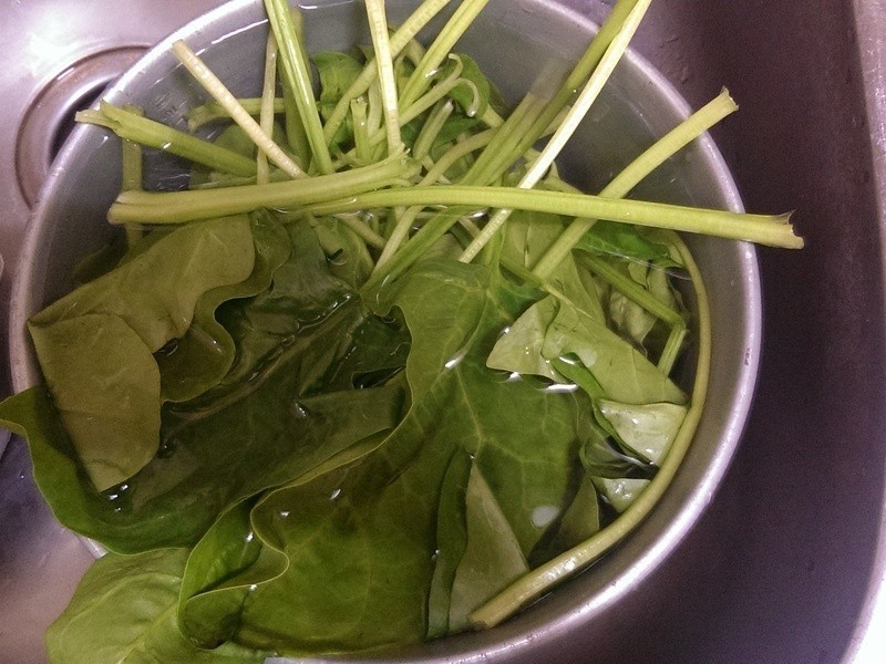 ���۱���5M��ʳƷ~�����������