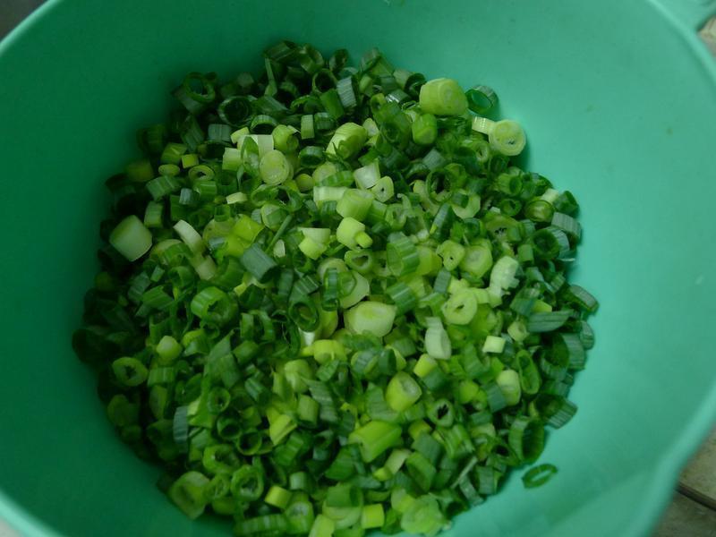 �������Ƥ & ����������