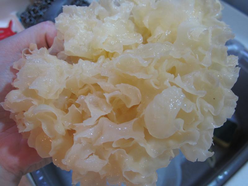 ����������LSY�����������š�������