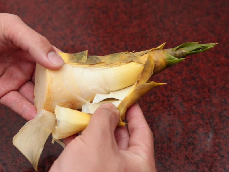 �Z���������