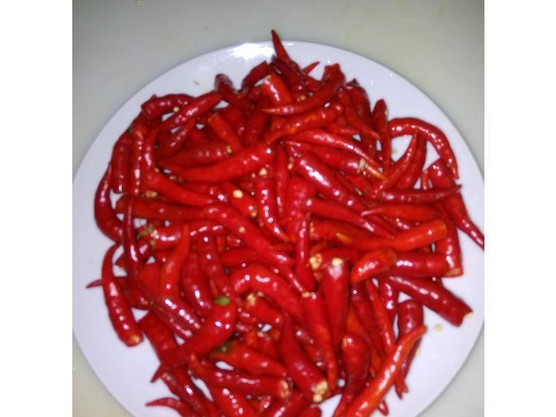 ����������������