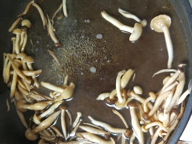 ��������Ұ��������