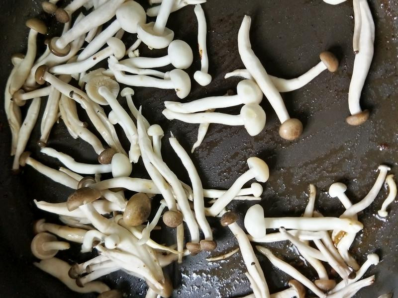 ��������Ұ��������