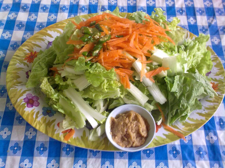 Çå³´ºìÂܲ·Ë¿Ëú¿Ã²ËµÄ×ö·¨