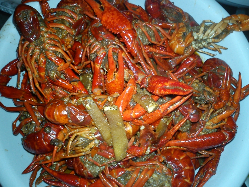 ����С��Ϻ������