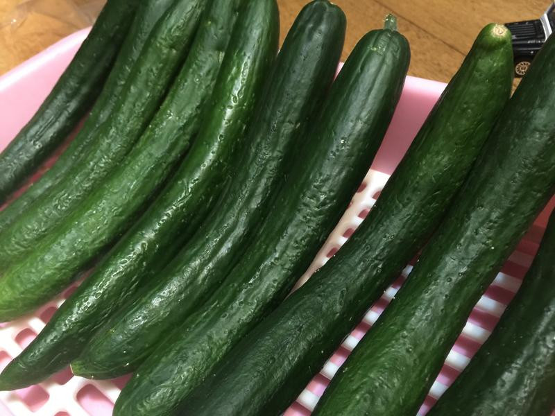 ������������ƹϵ�����