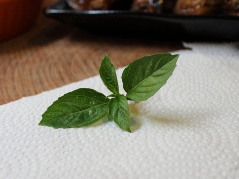 ���������ӵ�����