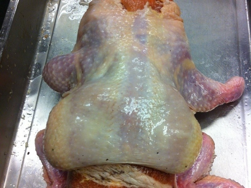 ʥ���������׼�������