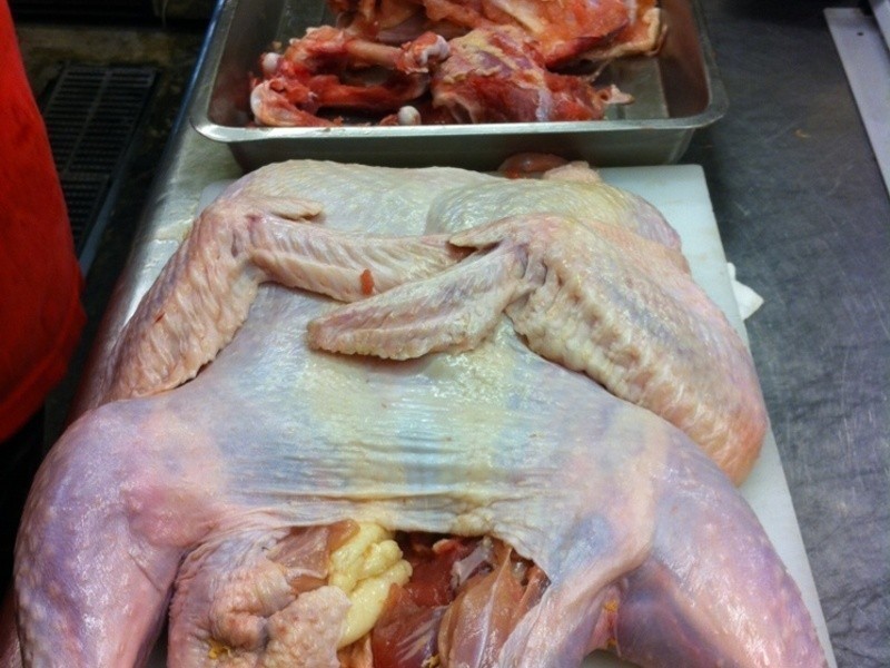 ʥ���������׼�������