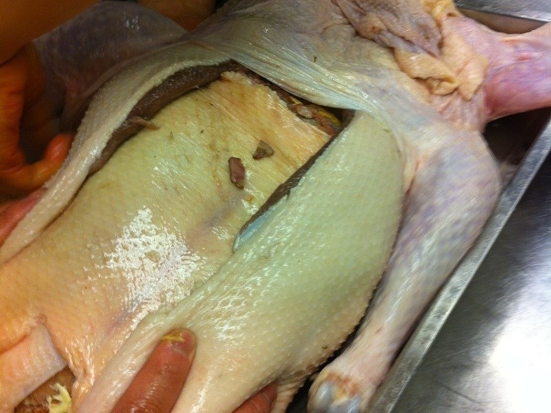 ʥ���������׼�������