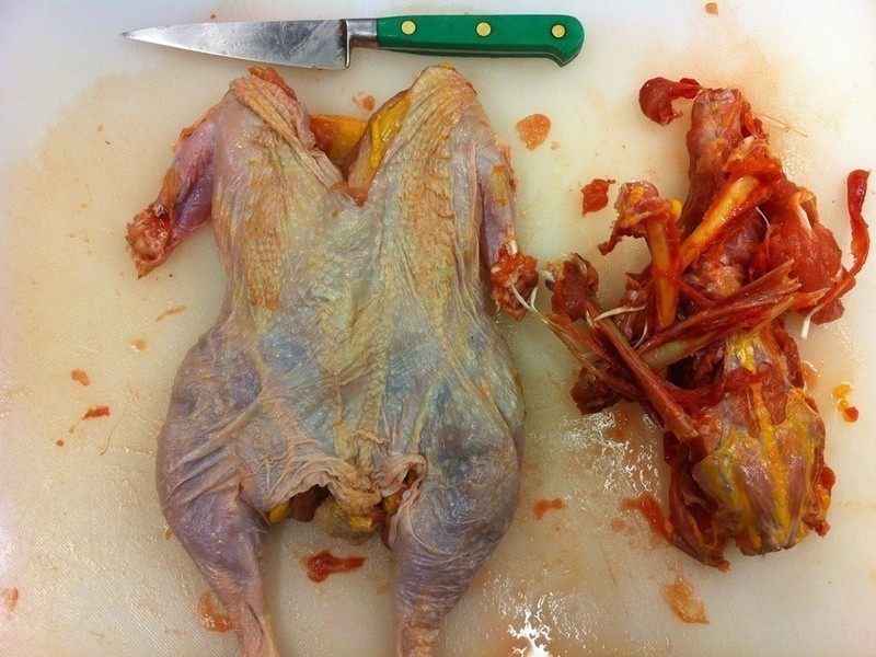 ʥ���������׼�������