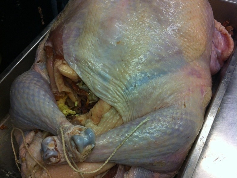 ʥ���������׼�������