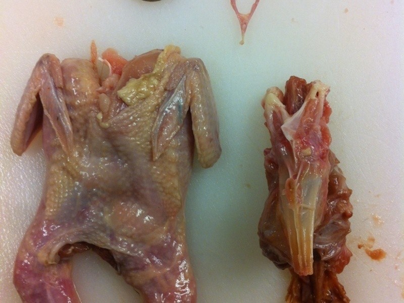 ʥ���������׼�������