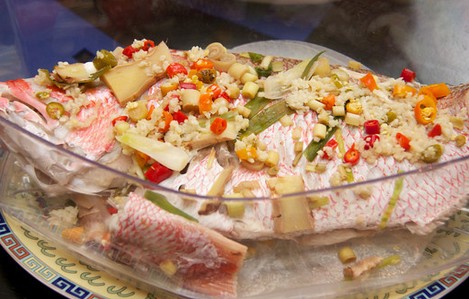 ̩ʽ�������������