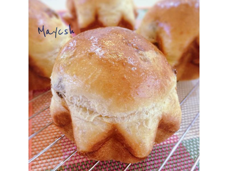 �������Ѳ���ŷ������