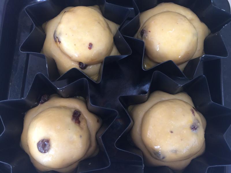 �������Ѳ���ŷ������