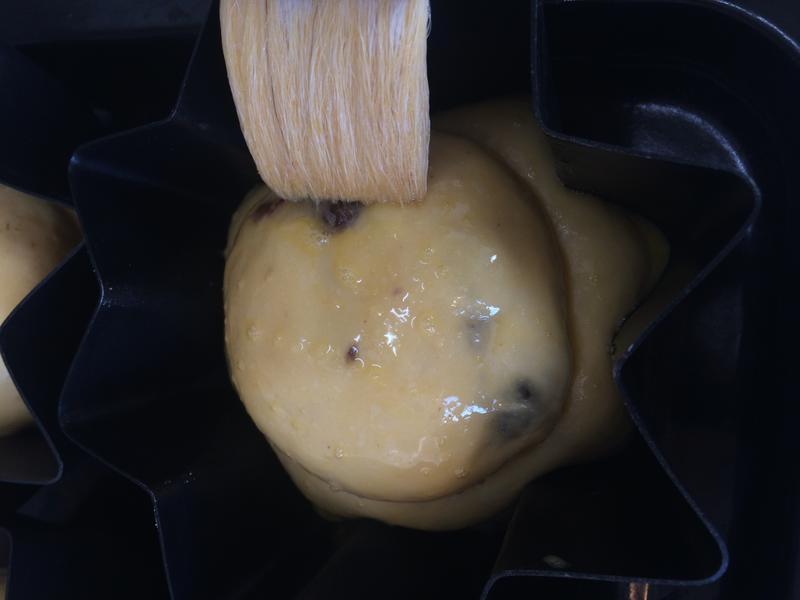 �������Ѳ���ŷ������