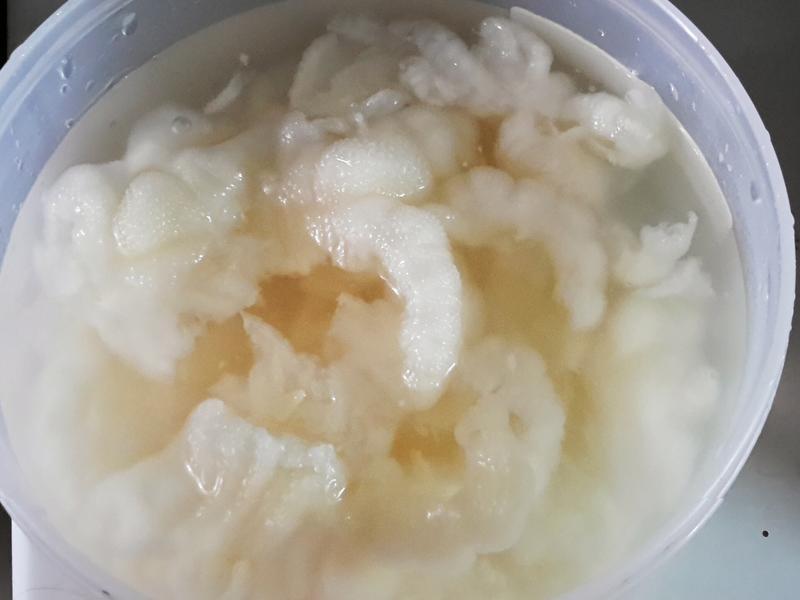 ̩ʽ������צ������