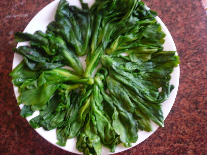 ����Լ������󼪴���ӭ���ũ������������������