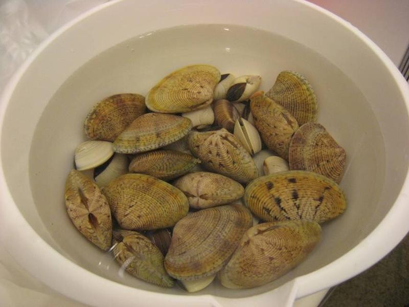 �����۵�����