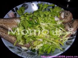 ������ɳ�������