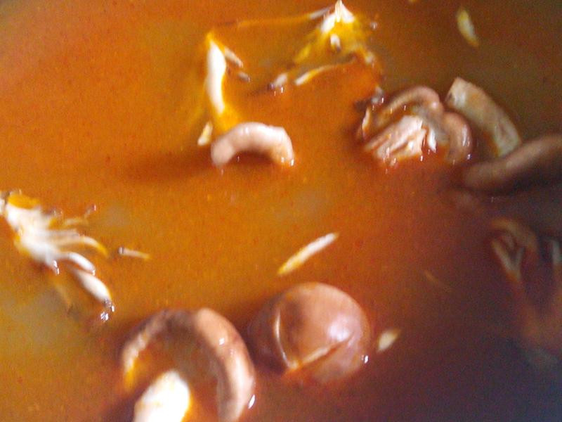 ��߷ɳ˫�������������