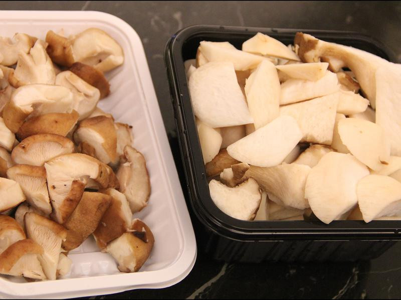 ʲ������������