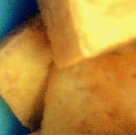 �����ĳ���������������