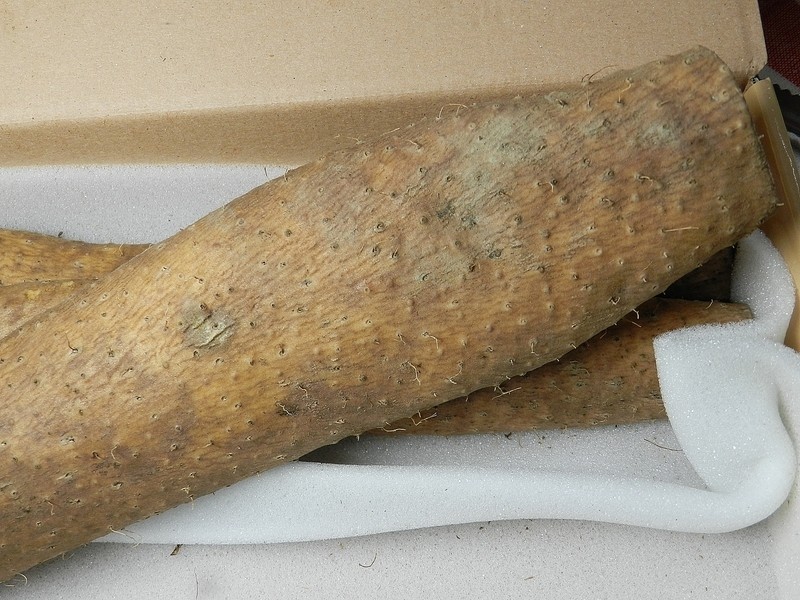 ���±��н���������~ɽҩѼ����������