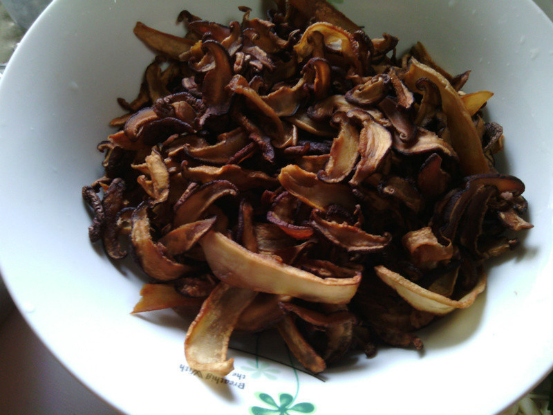 ��֭Ұ��������������