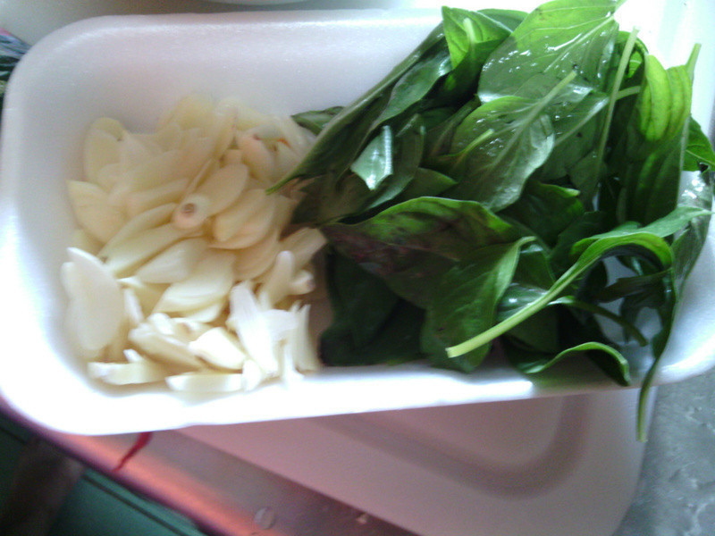 ��֭Ұ��������������