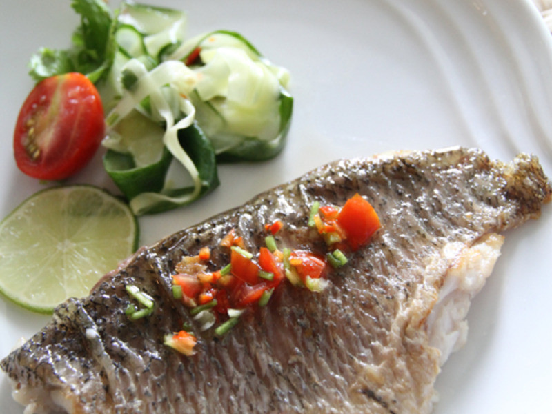 ̩ʽ���������ٴ�̩ʽ������������