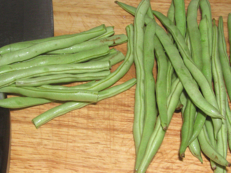 ��ĩ�ļ���(����ͷ������)������