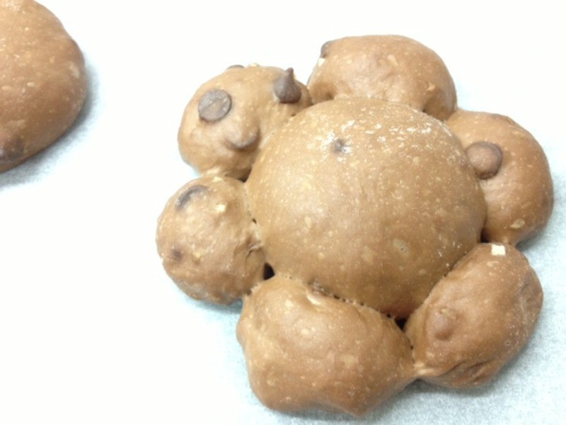 ��Ȼ��ĸ�ɿɶ������������