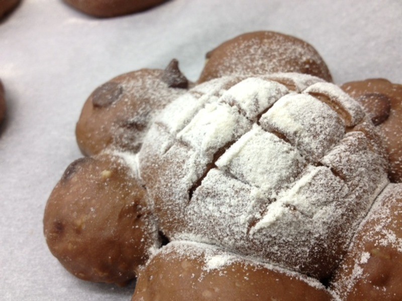 ��Ȼ��ĸ�ɿɶ������������