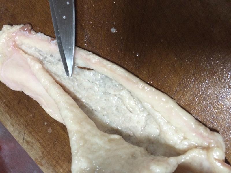 Ҭ֭����ѼƤ��/���Ⱦ�������