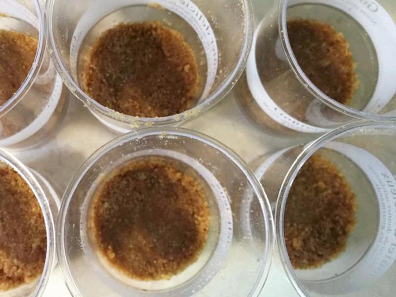 �ļ��޶���Ʒ-â��Ľ˹�����س�������