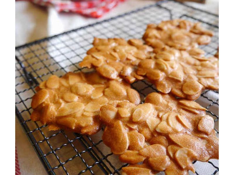 ?��ʧ�����?������Ƭ&����СƲ��������