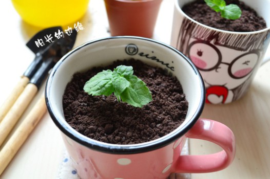 ����Ҭ�̶�������