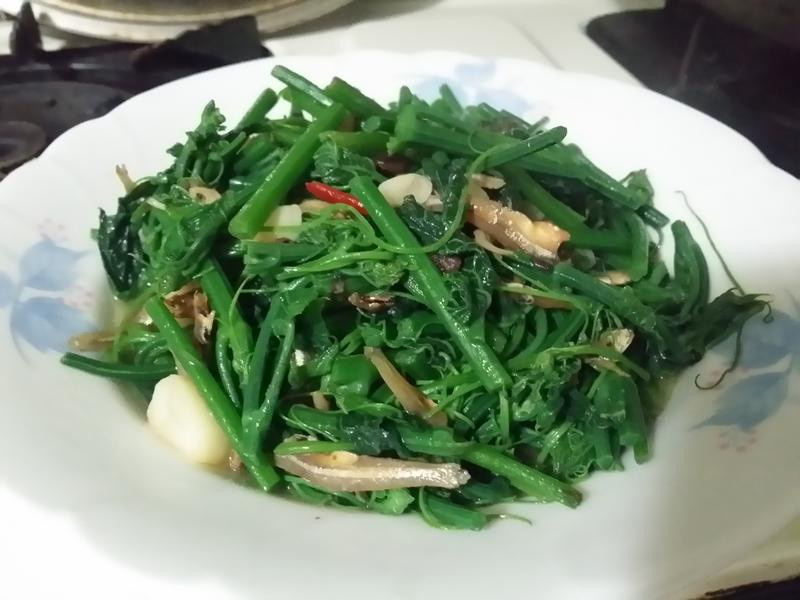 ��������˵�����