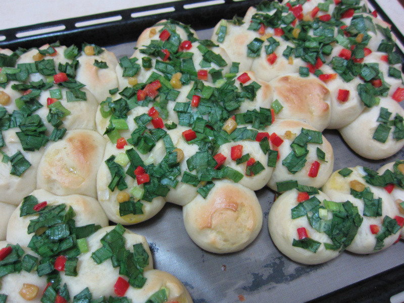 ?�ҵĽ��Ү��?ʥ�������������