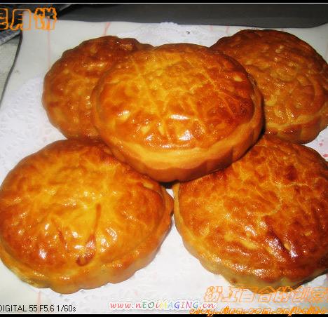 ���ڵ���--��������±�������