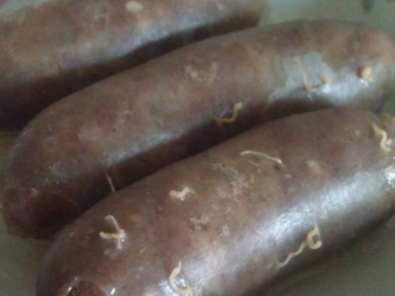 �����Ƚ�������������