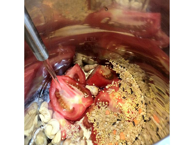 ��ѹ���߱����������