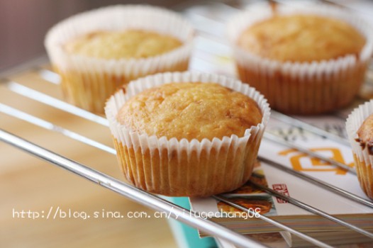 ��Խݮ���̵��������