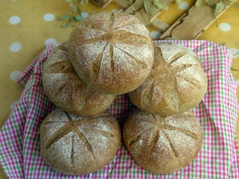 ����СԲ�����������