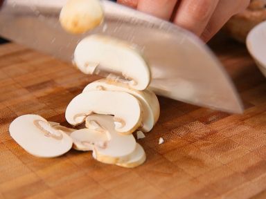 ơ�Ƽ���Ģ����������