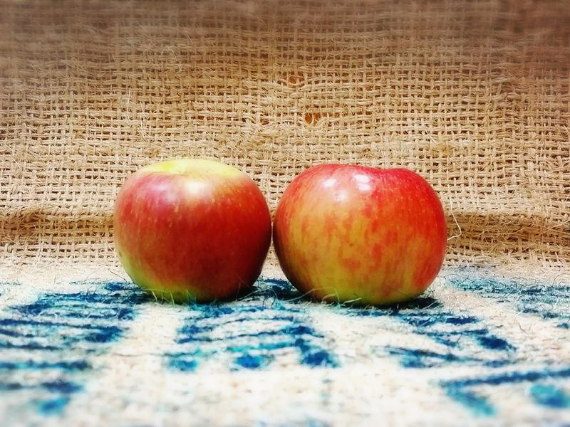 ƻ���Ŷ�ˮ������